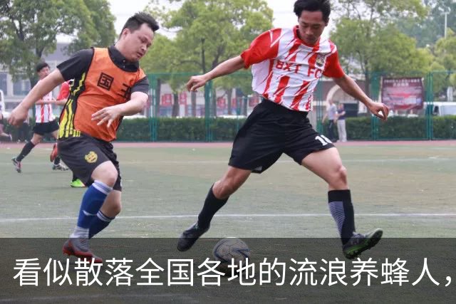 看似散落全国各地的流浪养蜂人，五千人都来自同个浙江小县城